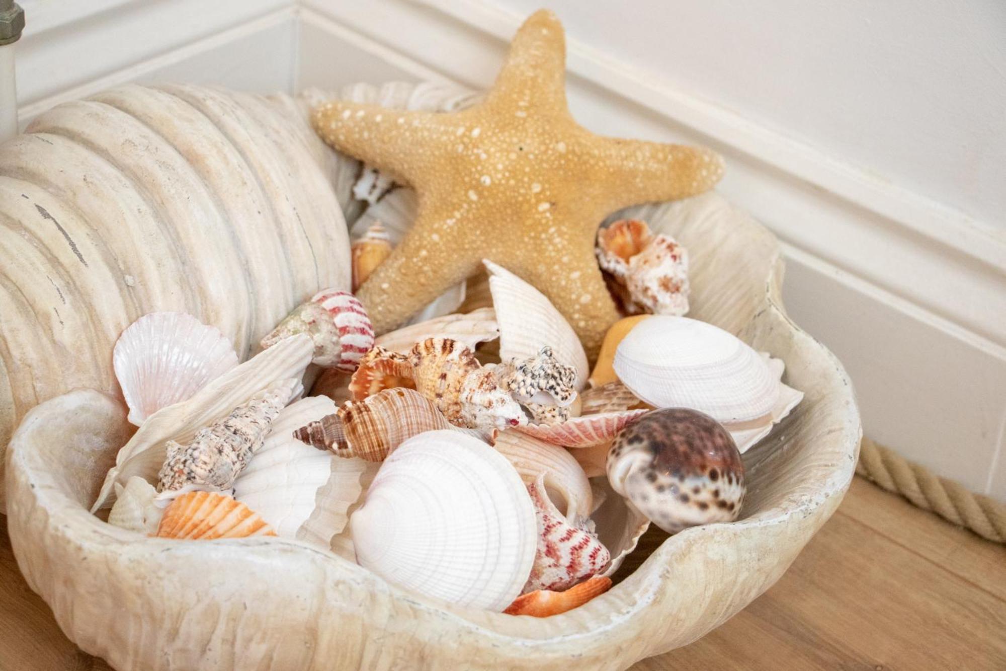The Beach House Holiday Apartments Eastbourne Dış mekan fotoğraf